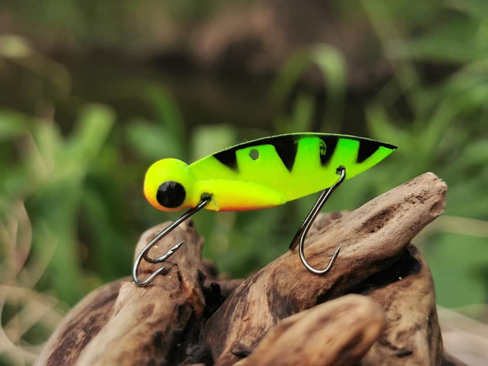 Zielona cykada Fire Tiger